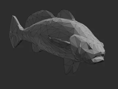 Low Poly Black Jewfish Low-poly 3D model