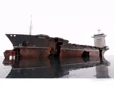 Shipwreck  Container Feeder  3D model