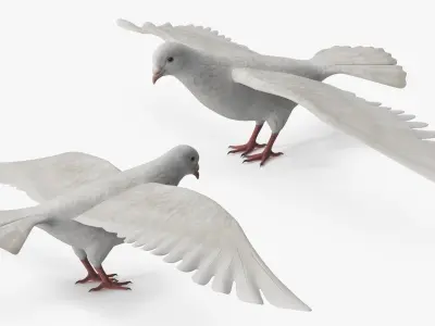  Lowpoly Dove Wings Extended White Rigged 