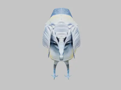 Titmouse 3D model