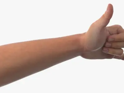 Male Arm Pair with Shaka Gesture 3D model