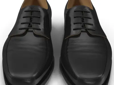  Old Man Shoes 5 3D Model 