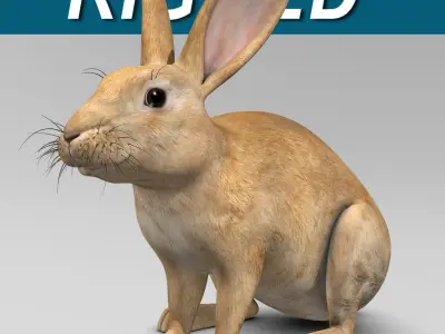 Rabbit Brown 3D model