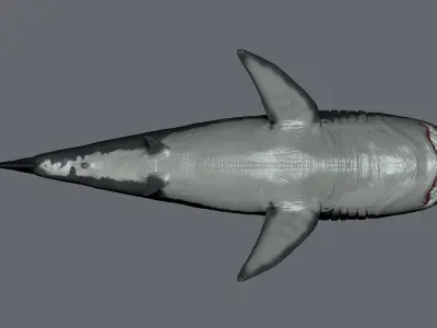 Realistic Great White Shark 3D Model in OBJ and STL 3D print model