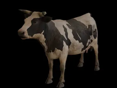 Low  Poly Cow 3D  Model  Low-poly 3D model