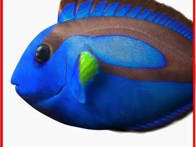 Water Pack (Rigged Models) 3D model