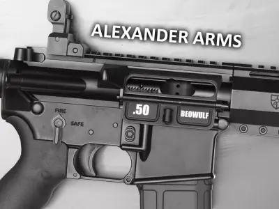 Alexander Arms 50 Beowulf Tactical AR-15 - Game Asset Low-poly 3D model