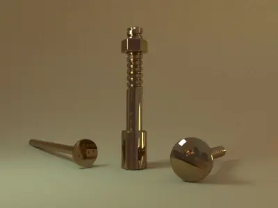 Screws top 5 3D model
