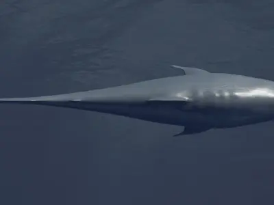  Great White Shark Rigged in Blender  Low-poly 3D model