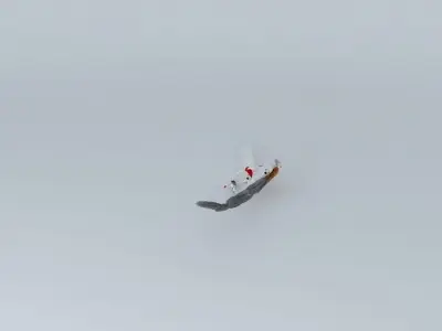 JAL Airlines Flight 79  Free 3D model