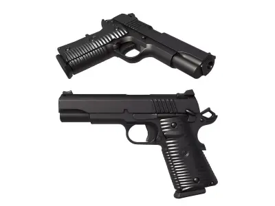 Wilson Combat ACP 3D print model