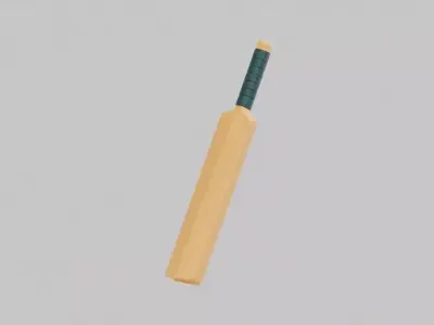 Cricket Bat Low-poly 3D model order