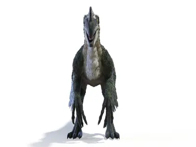 Oviraptor Static 3D model