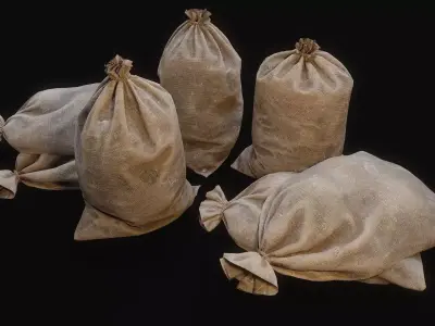 Sacks Low-poly 3D model purchase