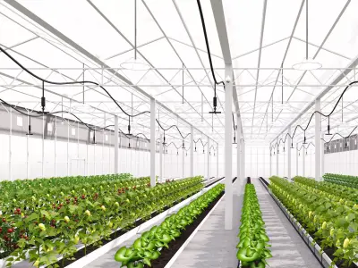 Intelligent greenhouse vegetable planting shed 3D model