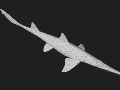 Shark Low-poly 3D model 38