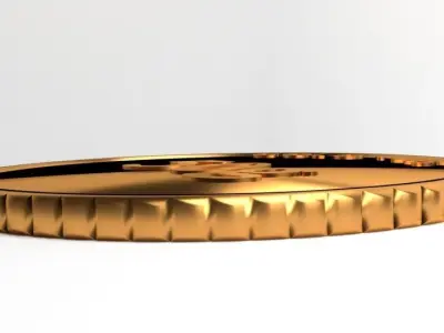 Goldcoin 50gram 3D model