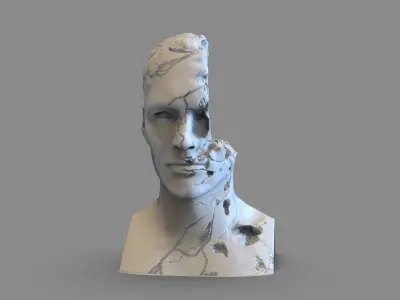 Broken Bust 3D print model