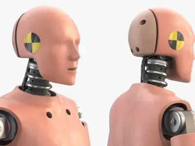 Crash Test Dummy 1 Rigged Biped 3D model