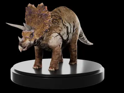 Triceratops Low-poly 3D model buy
