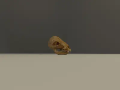 Animal skull Low-poly 3D model purchase