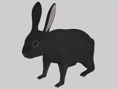 Black Rabbit low poly rigged Low-poly 3D model