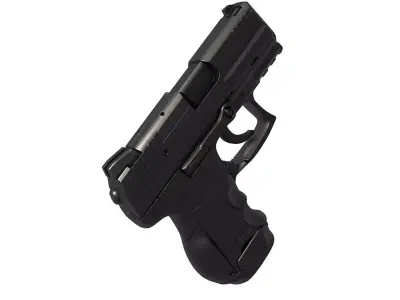 hk P30SK 3D print model