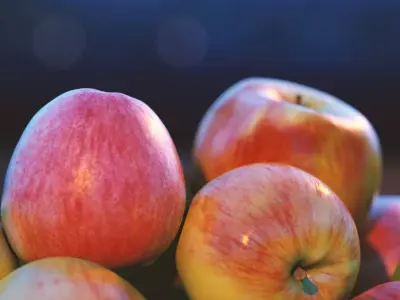 Real Fruits 3D model