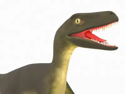 Velociraptor dinosaur 3D model order