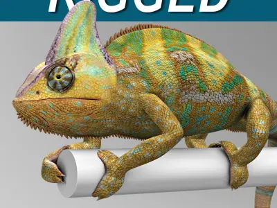 Chameleon Color 3D model