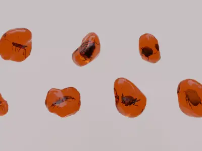 Insects in amber asset collection 3D model