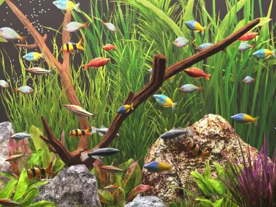 Aquarium 2 3D model