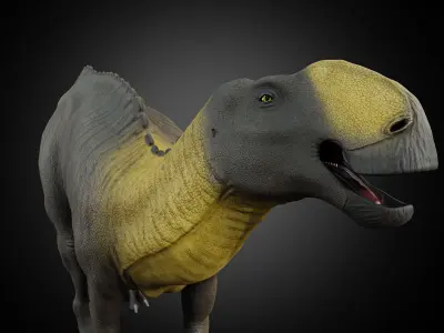 Gryposaurus notabilis Low-poly 3D model