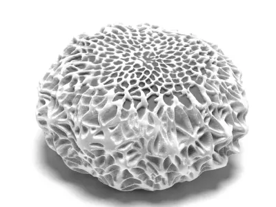 Butterfly egg 3D model