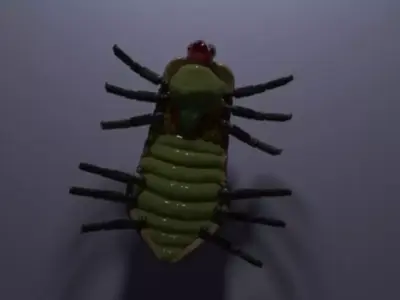 Scarab scar 3D model