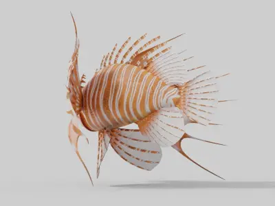 Broadbarred Farefish 3D Model 3D model