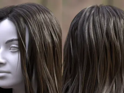 Womans Hair with Eyelashes and Eyebrows 3D model