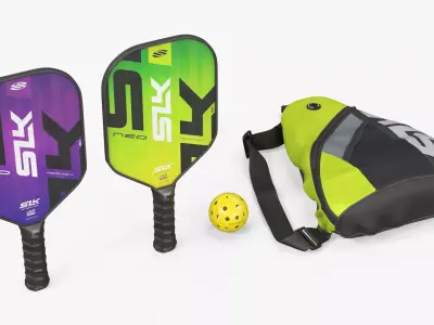 SLK Pickleball Paddle Set with Ball and Bag 3D model purchase