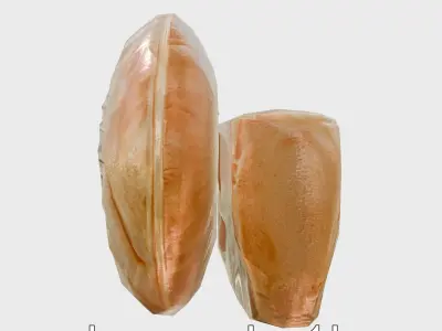 Paper Nautilus Delicate Shell Structure Model Low-poly 3D model