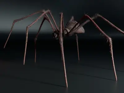 Giant Spider 3D model purchase