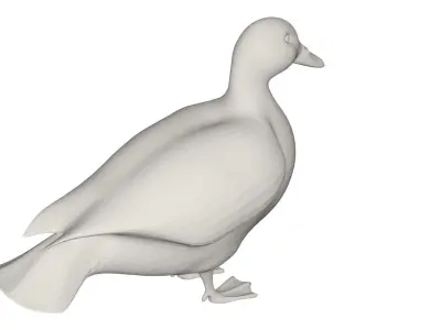 Duck animals 3D model