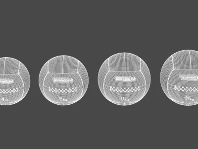 Technogym Accessories Medicine Ball 3D model