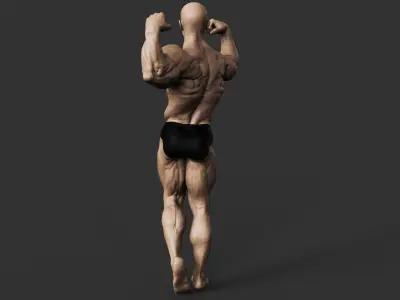 Bodybuilder 3D print model 3