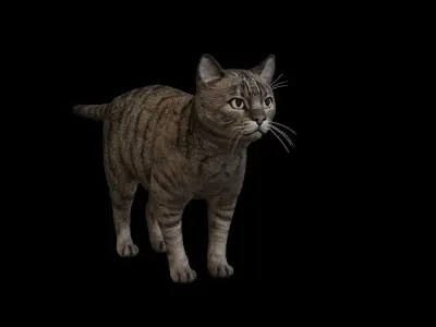 Kitty Cat Low-poly 3D model