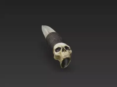 Bone Dagger of the Necromancer  Skull Pommel Ritual Knife 3D model