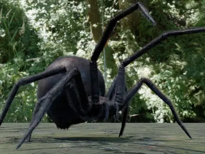 Spider Black Widow Low-poly 3D model
