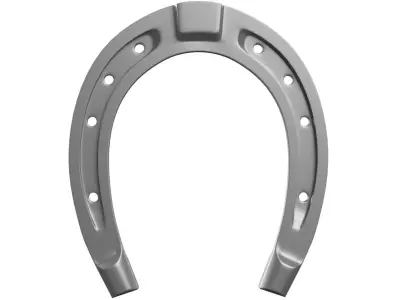 Horse Shoe 3D model
