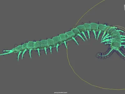 Centipede Low-poly 3D model get