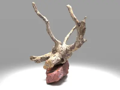 Decorative stone and plant 3D model