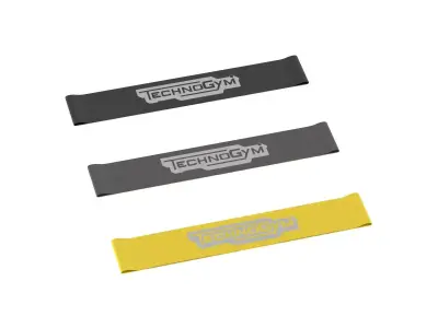 Technogym Band Loop 3D model